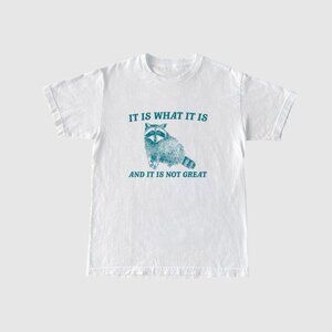 It Is What It Is Not Great Raccoon Meme Funny Vintage T-Shirt 81